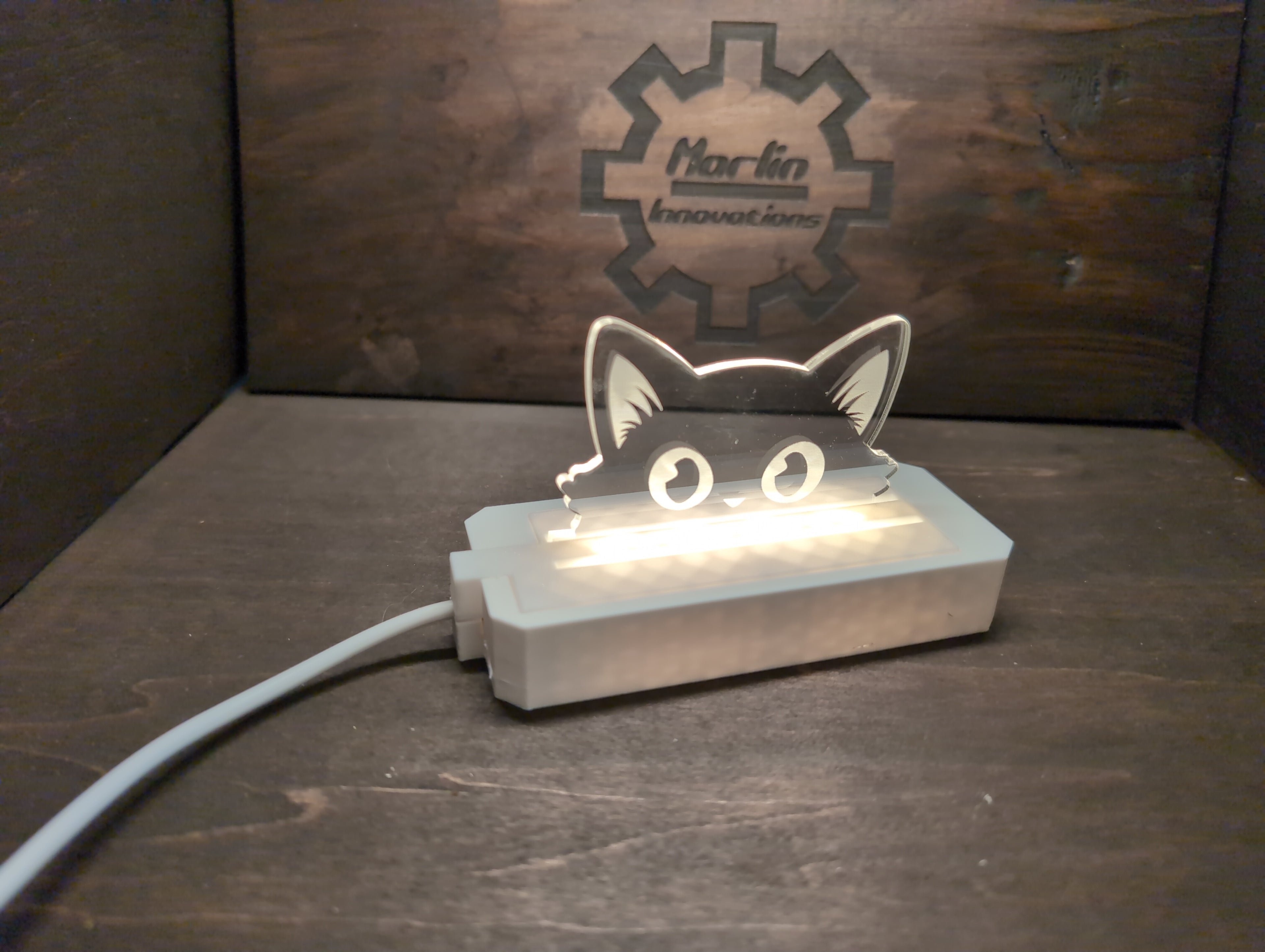 Cat Single Multi-Light Acrylic Pane