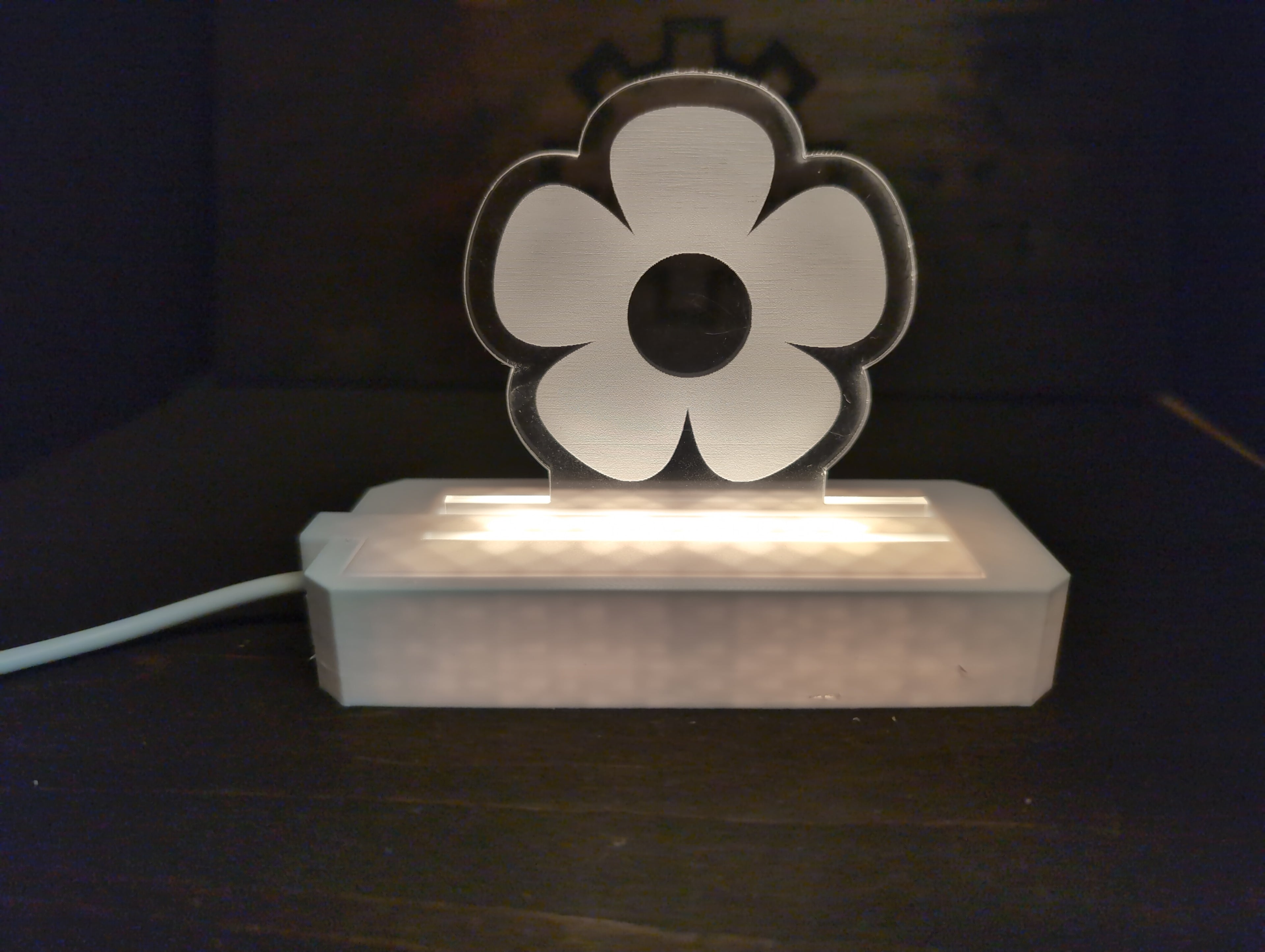 Flower Double Multi-Light Acrylic Pane